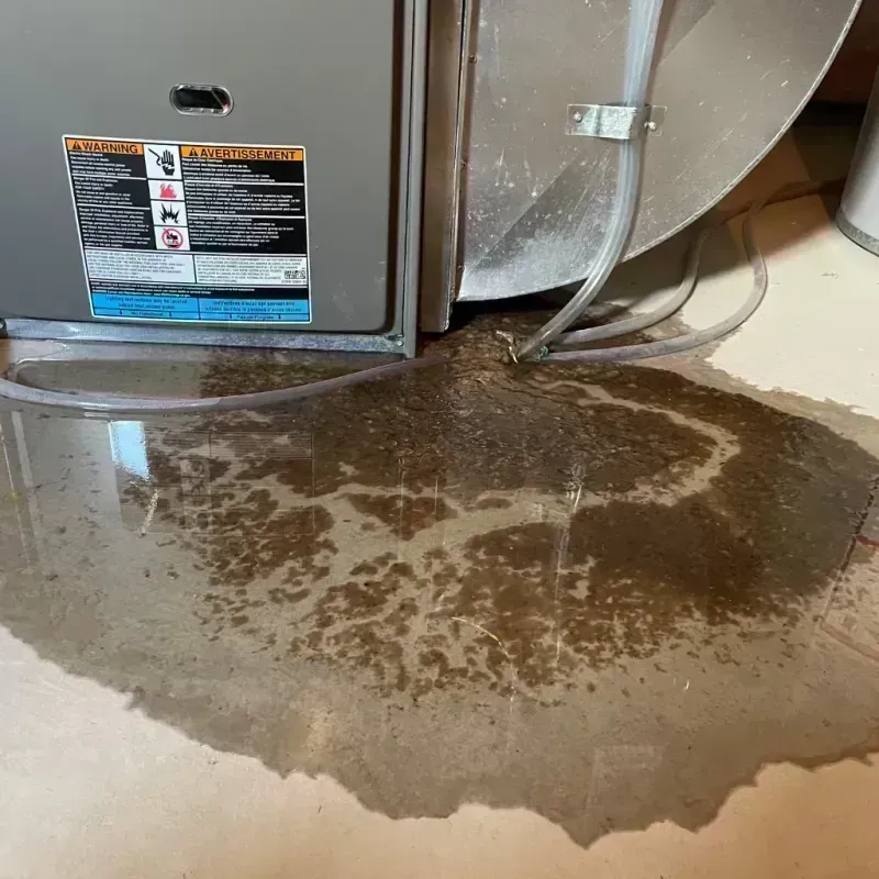 Appliance Leak Cleanup in Pagedale, MO